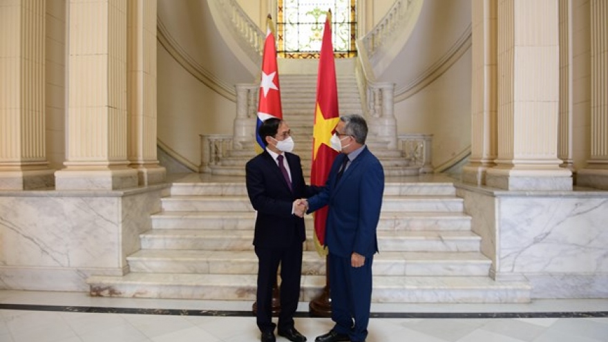 Vietnamese FM meets with Acting FM of Cuba